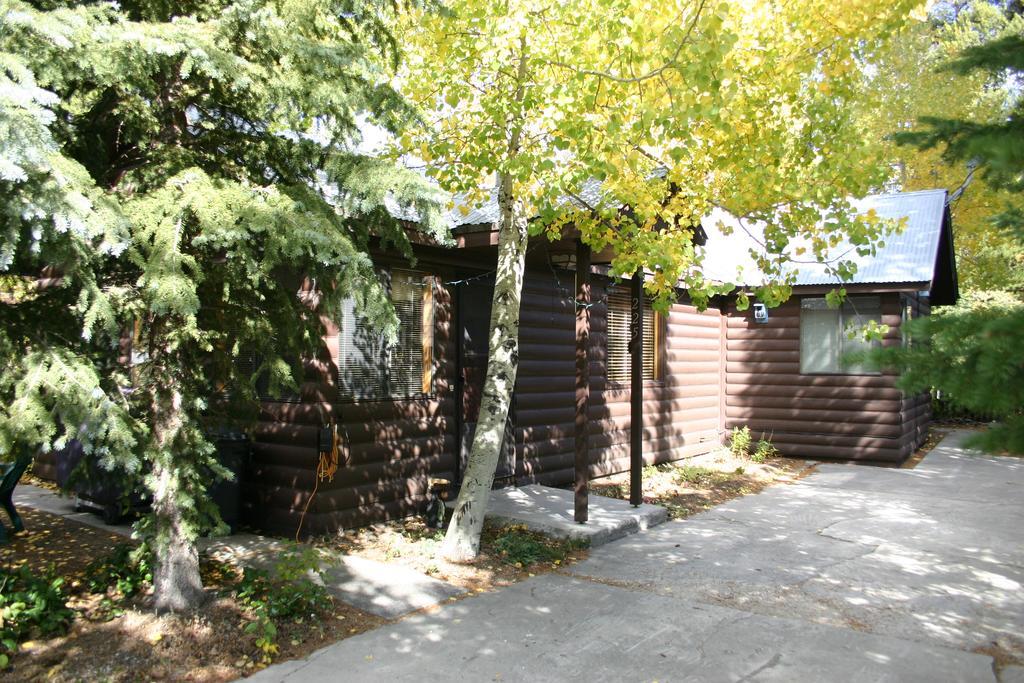 غرب يلوستون Yellowstone Wildlife Cabins المظهر الخارجي الصورة